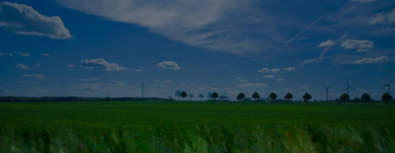 Optimized Green Panel